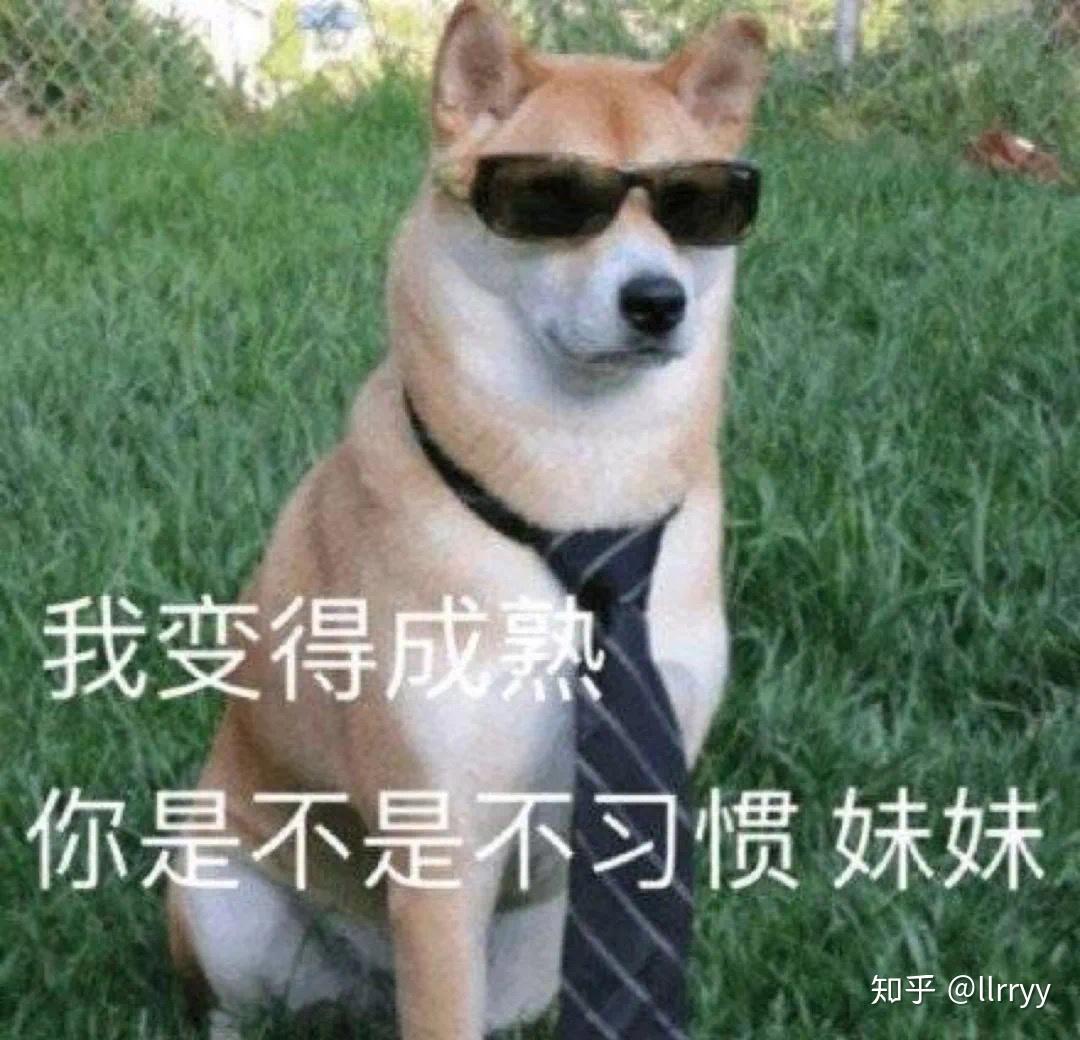 v2-43d4580a5cec8c6f0aaba77d67b0c560_r.jpg