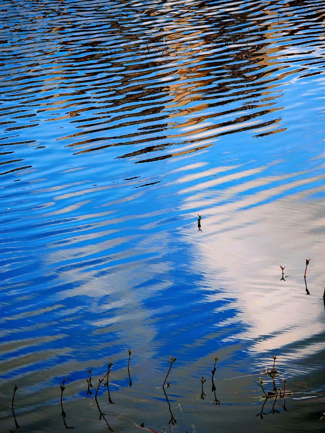 能否拍下一张你认为最能代表中国传统美学特色的照片?