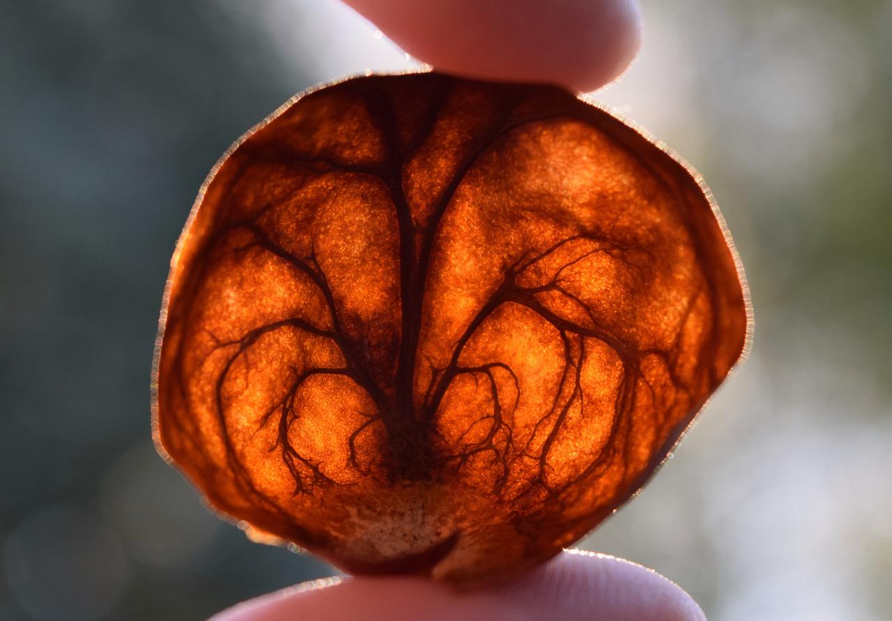 3. 螺母批发价格