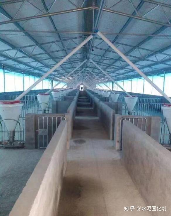 您做到了吗?养猪场猪舍建设中三个必须重视的优先设计 - 知乎