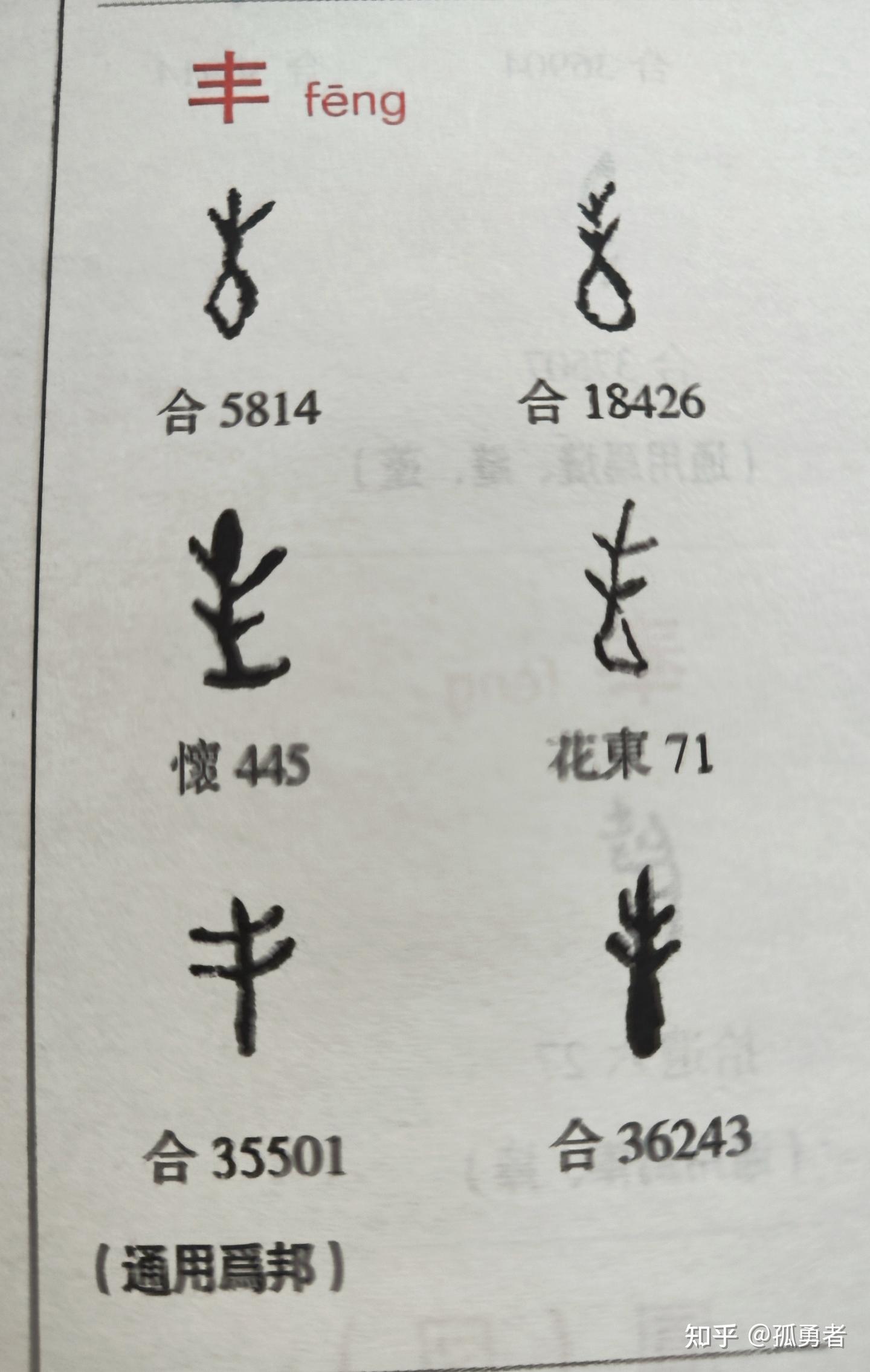 也说汉字改革（五十七） - 知乎