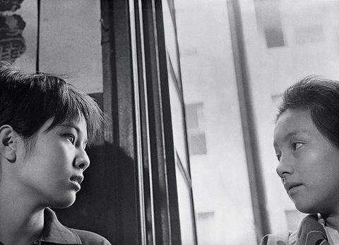 日本昆虫记 电影 知乎