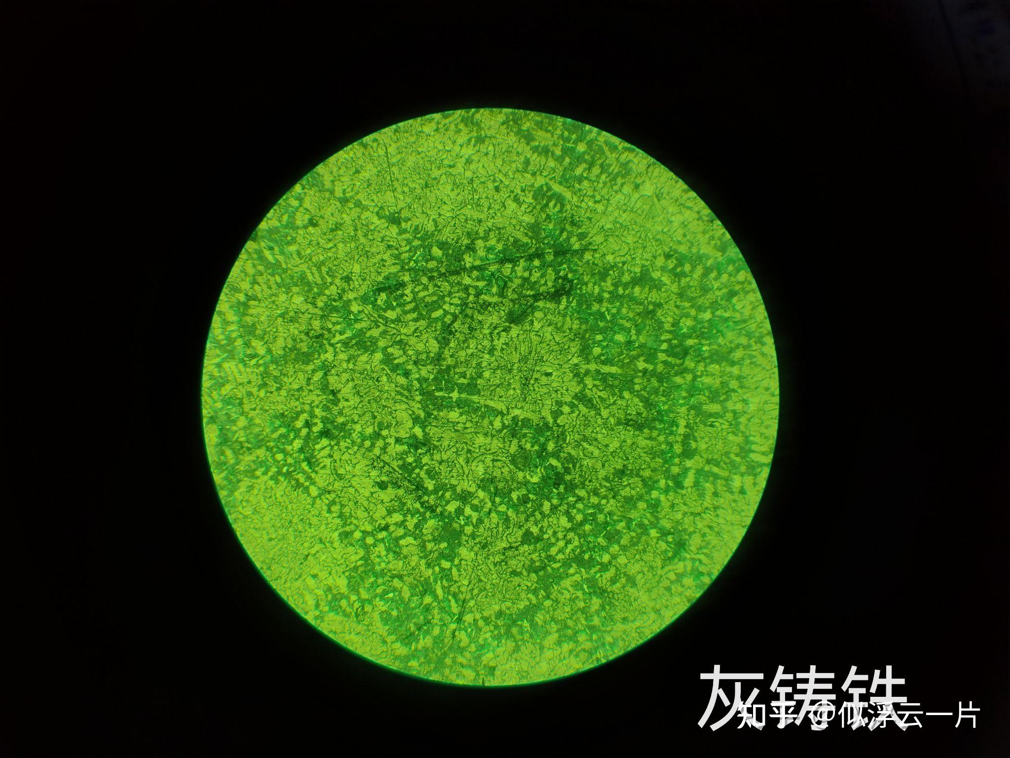 又来了!灰口铸铁金相组织图