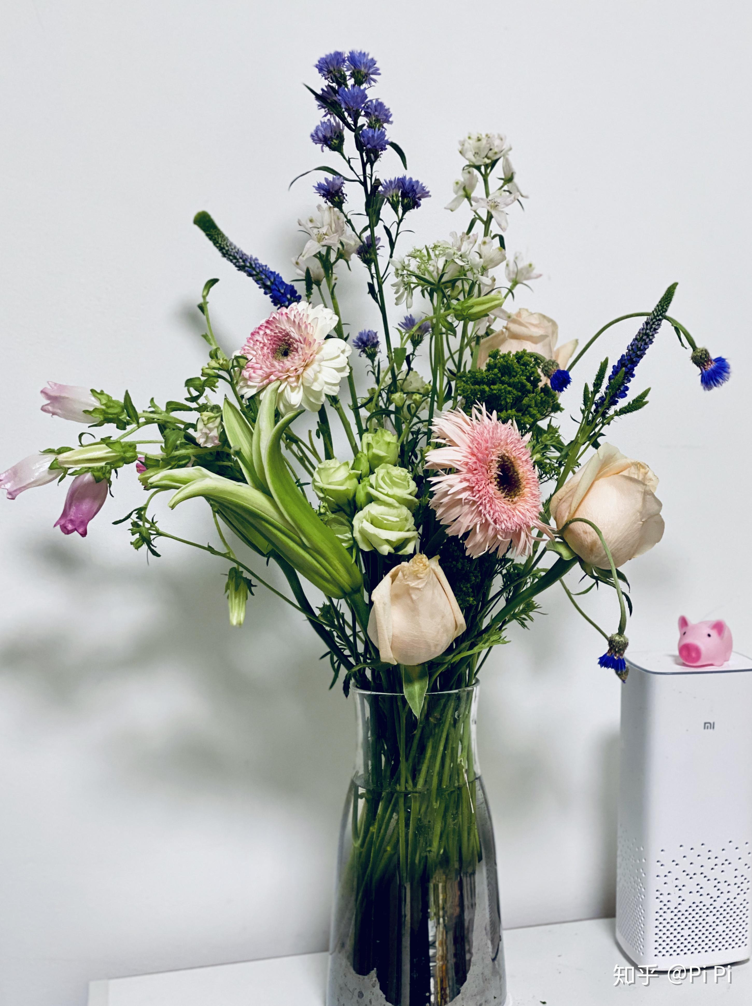 爱尚鲜花,花点时间,花加,哪家包月鲜花比较好? - 知乎