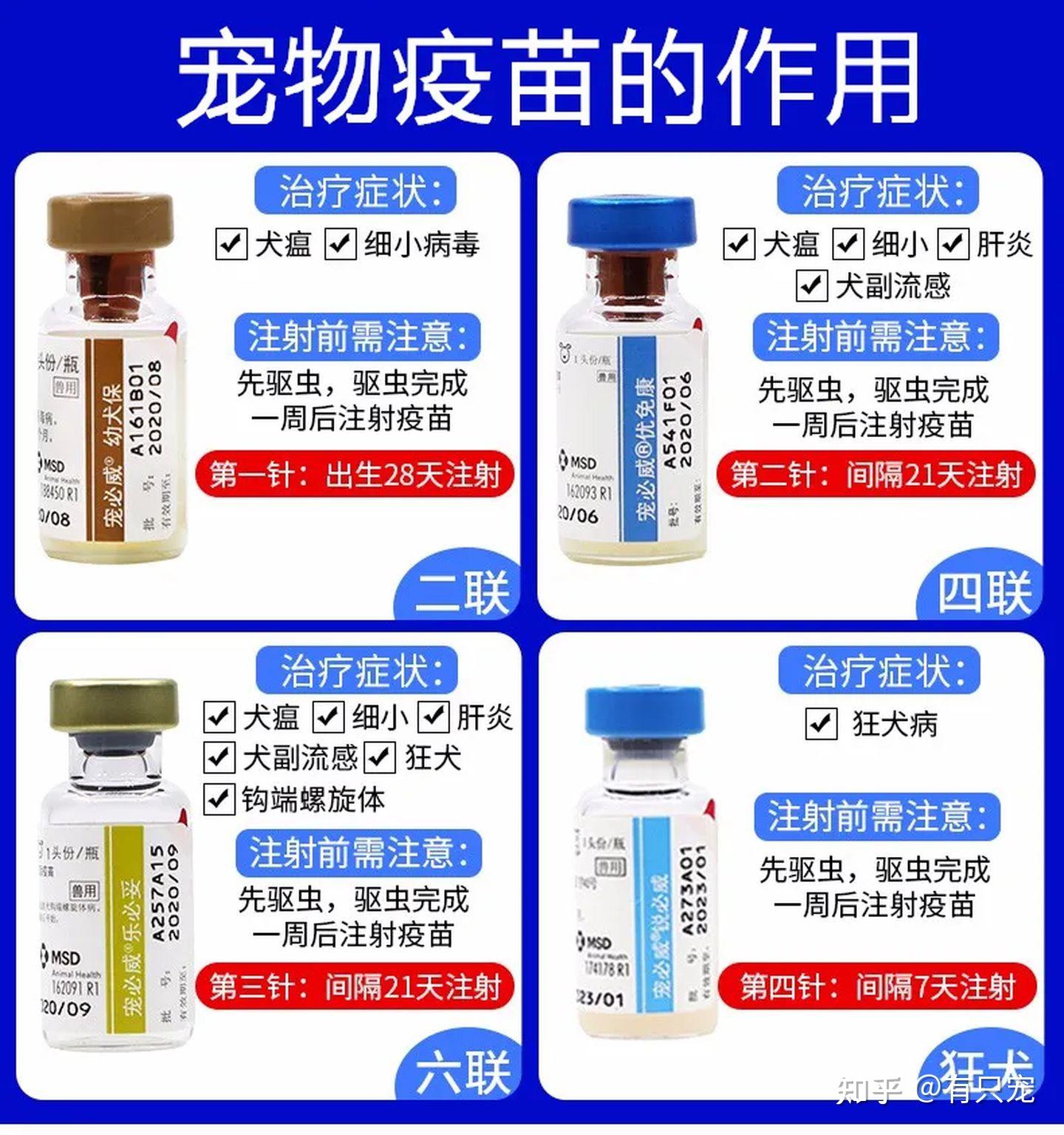 手把手教你狗狗疫苗怎么打赶快收藏吧