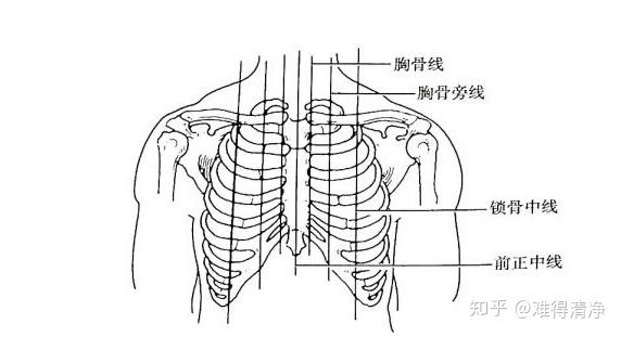 我还很年轻,为什么胸部下垂了?