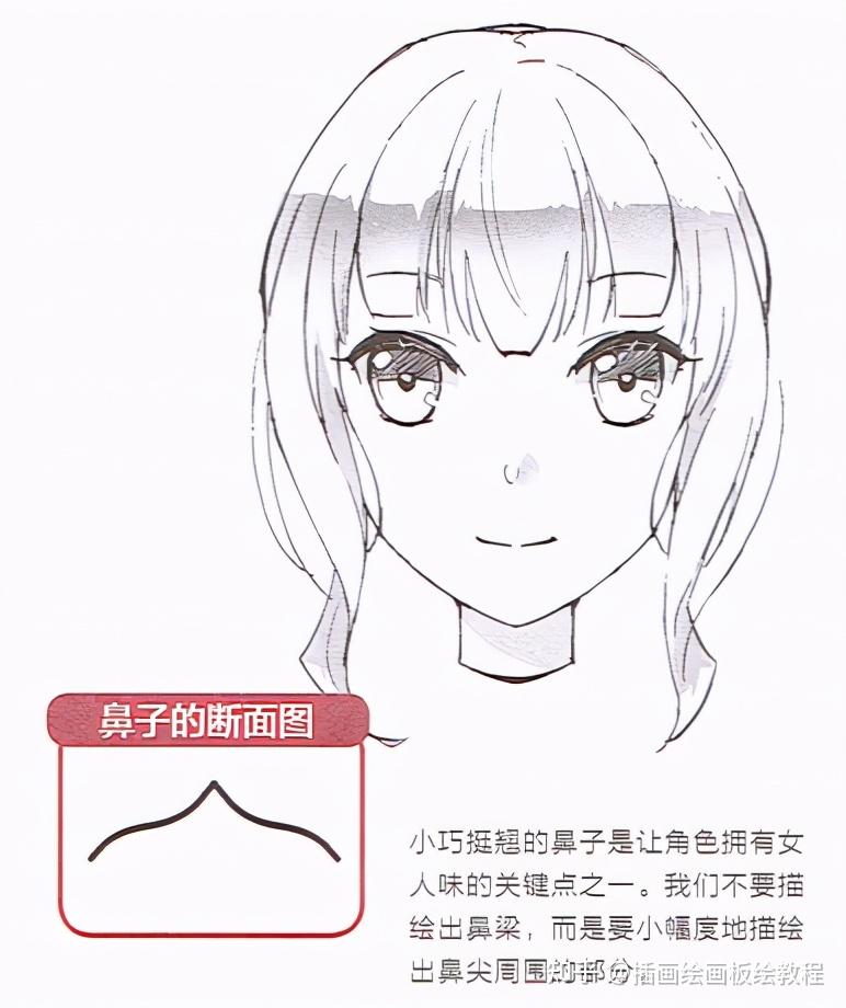 漫画鼻子怎么画简易讲解漫画男女鼻子的画法差异