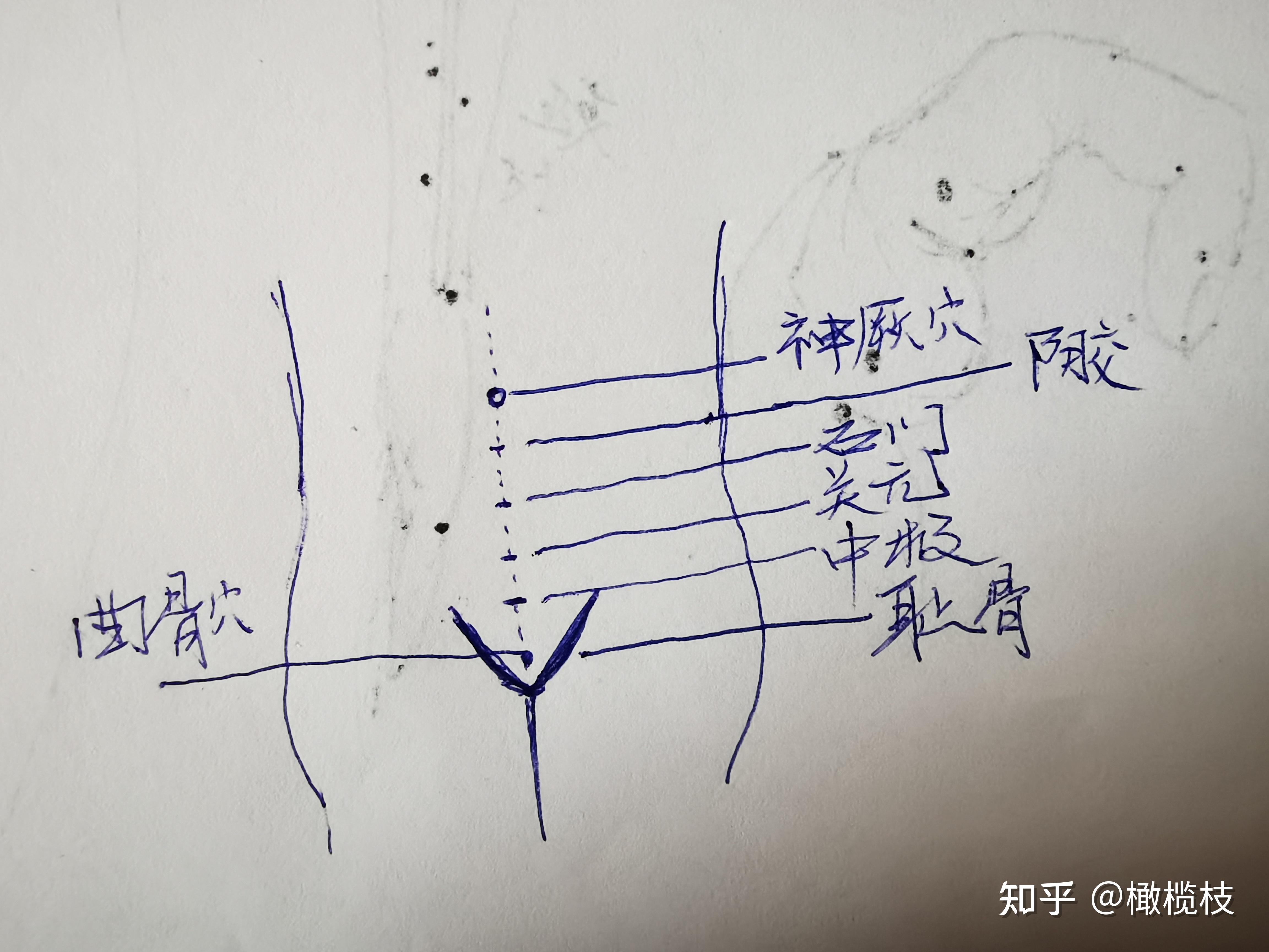 疫情,全面封闭,非专业且小白,在家学中医! - 知乎
