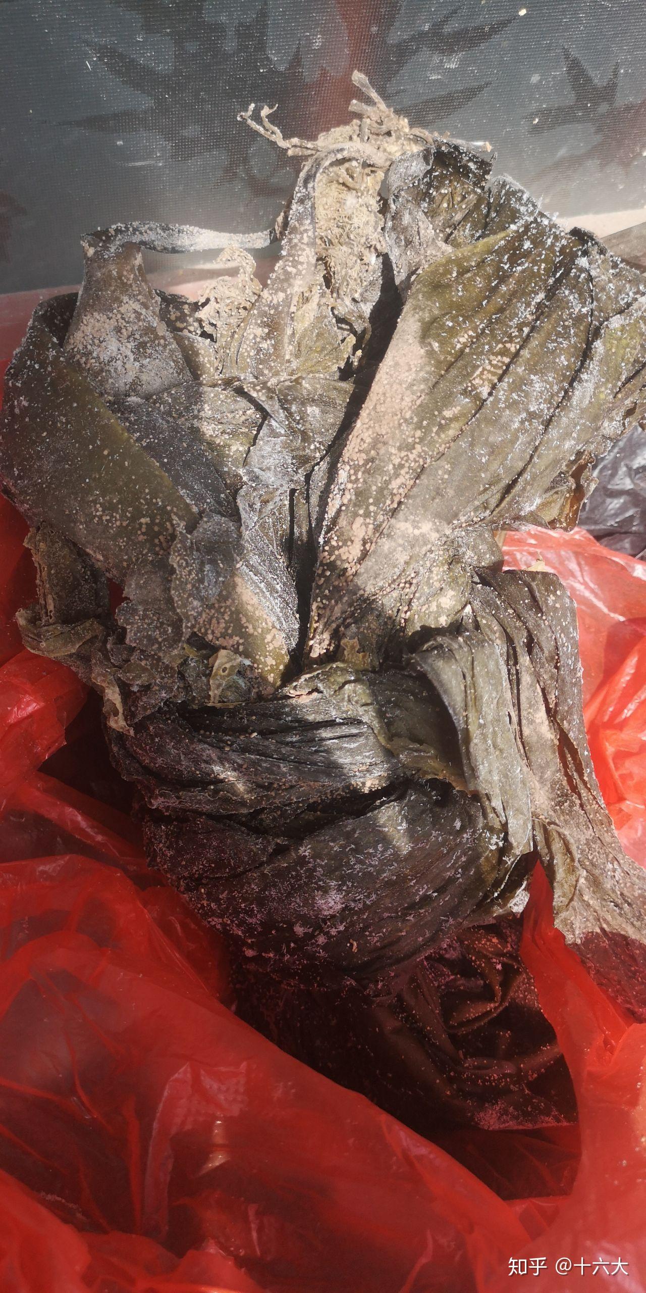 怎么判断海带发霉没有啊? - 知乎