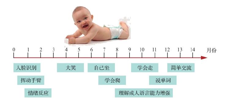 图 11.1 人类成长初级阶段的认知能力发育过程