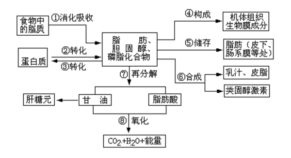 Muscletech纯粹运动 带你了解脂肪代谢 知乎