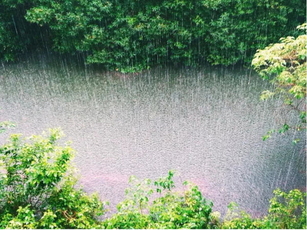 四季田园诗(二十二)| 在盛夏的西湖,邂逅一场骤雨——《六月二十七日望湖楼醉书》精讲 - 知乎
