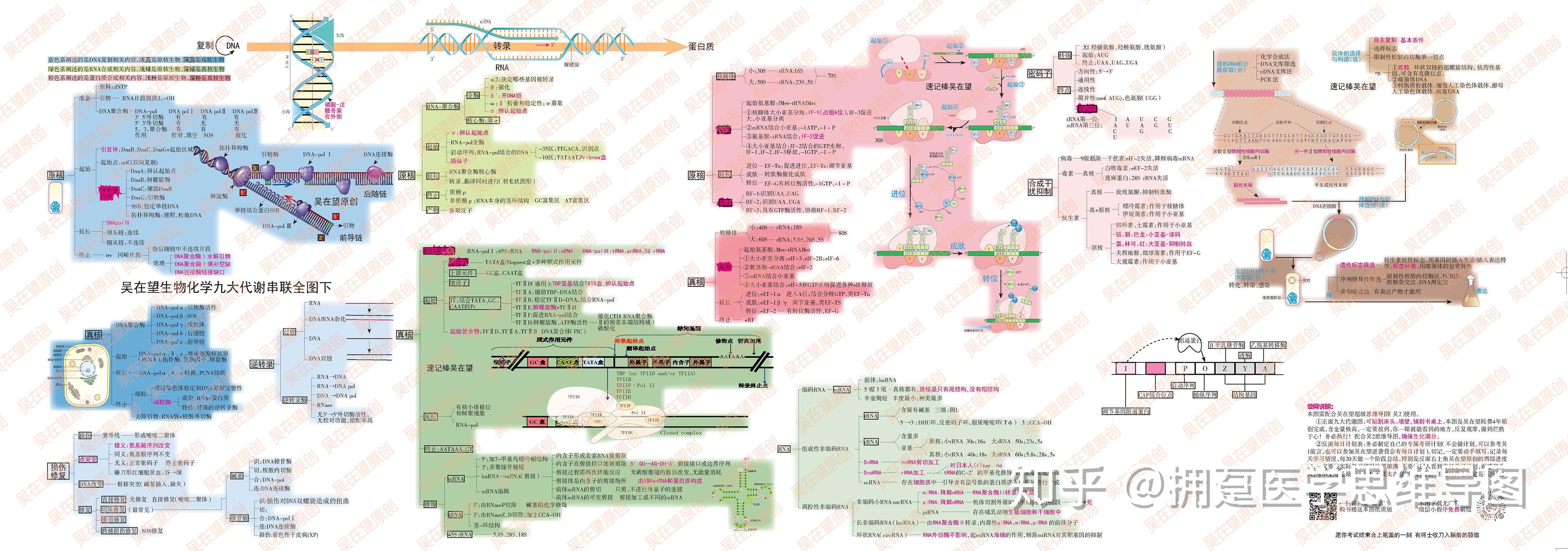 如何制作生化物质代谢网络结构图？ - 知乎