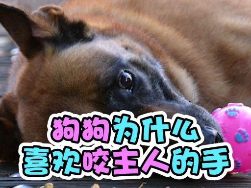 v2-447abfab799e8e914ed03160cf5d1f74.jpg?source=1940ef5c