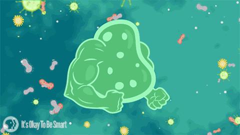 什么叫超级细菌 v2-447d7fcfbff5f4677f214ca537387d3c_r.jpg