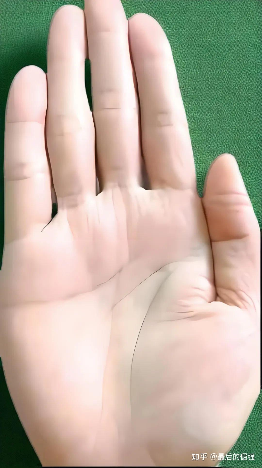 一只典型的文人聚财木型手掌纹