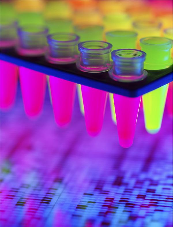 荧光标记技术及荧光标记物 - 知乎