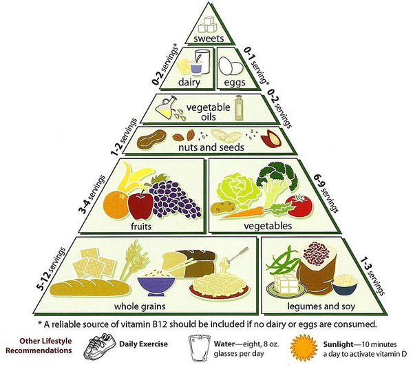 饮食表金字塔图片