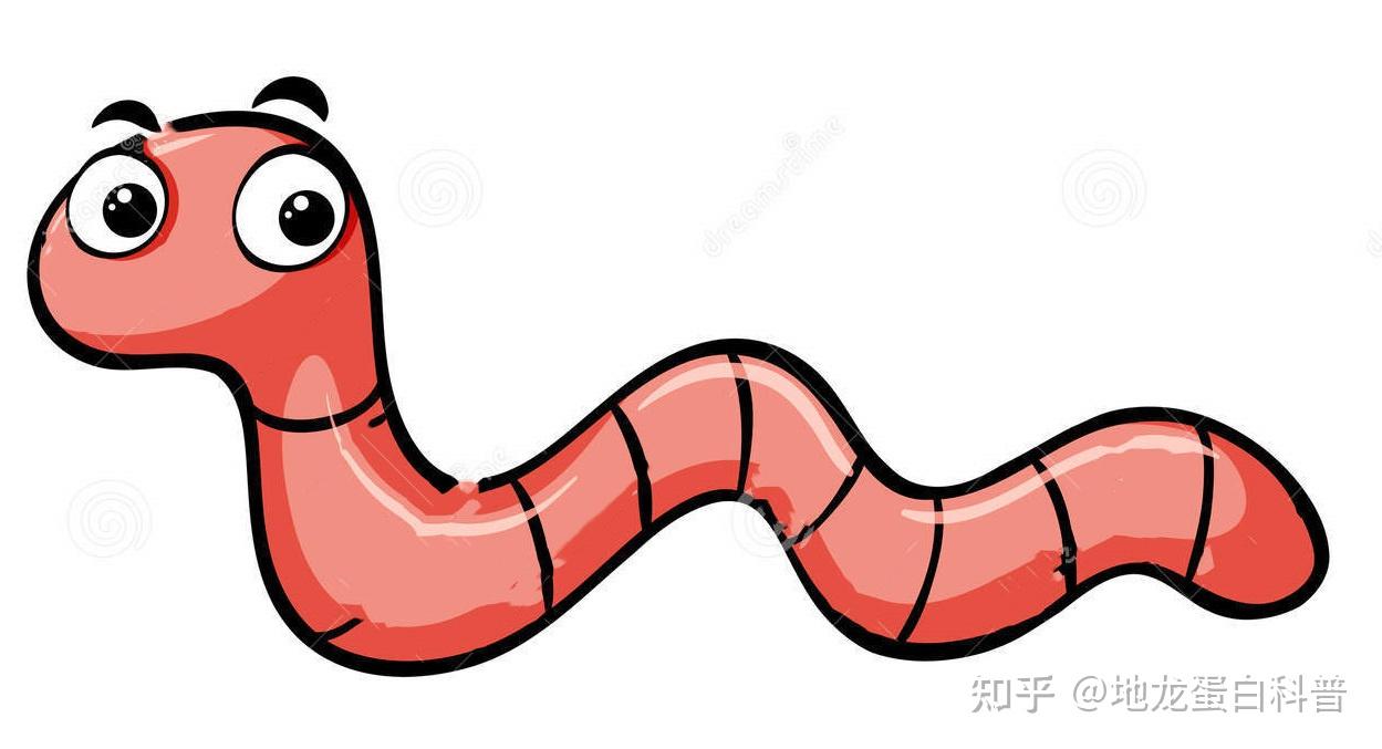 地龙蛋白蛋白到底是个什么东西啊? - 知乎