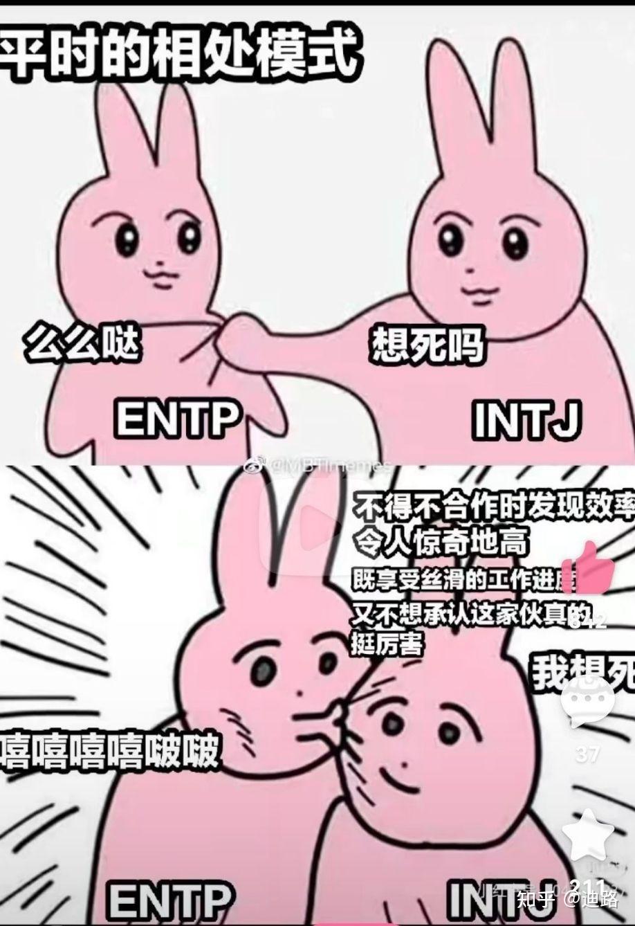 各位intj会磕entp和intj吗? - 知乎