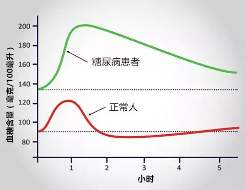 正常肾图曲线图片图片