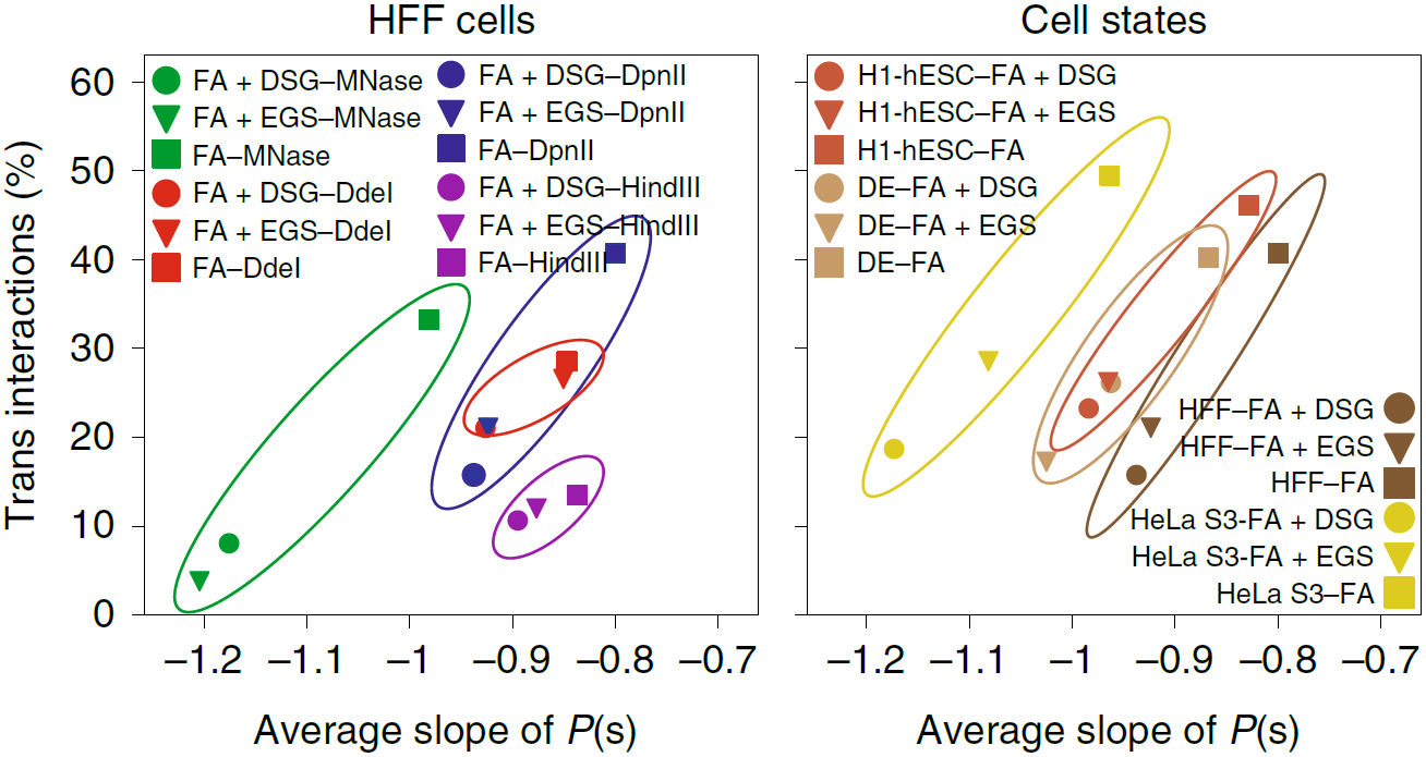 重磅升级丨Hi-C技术发明人Job Dekker发布高精度Hi-C 3.0技术 - 知乎