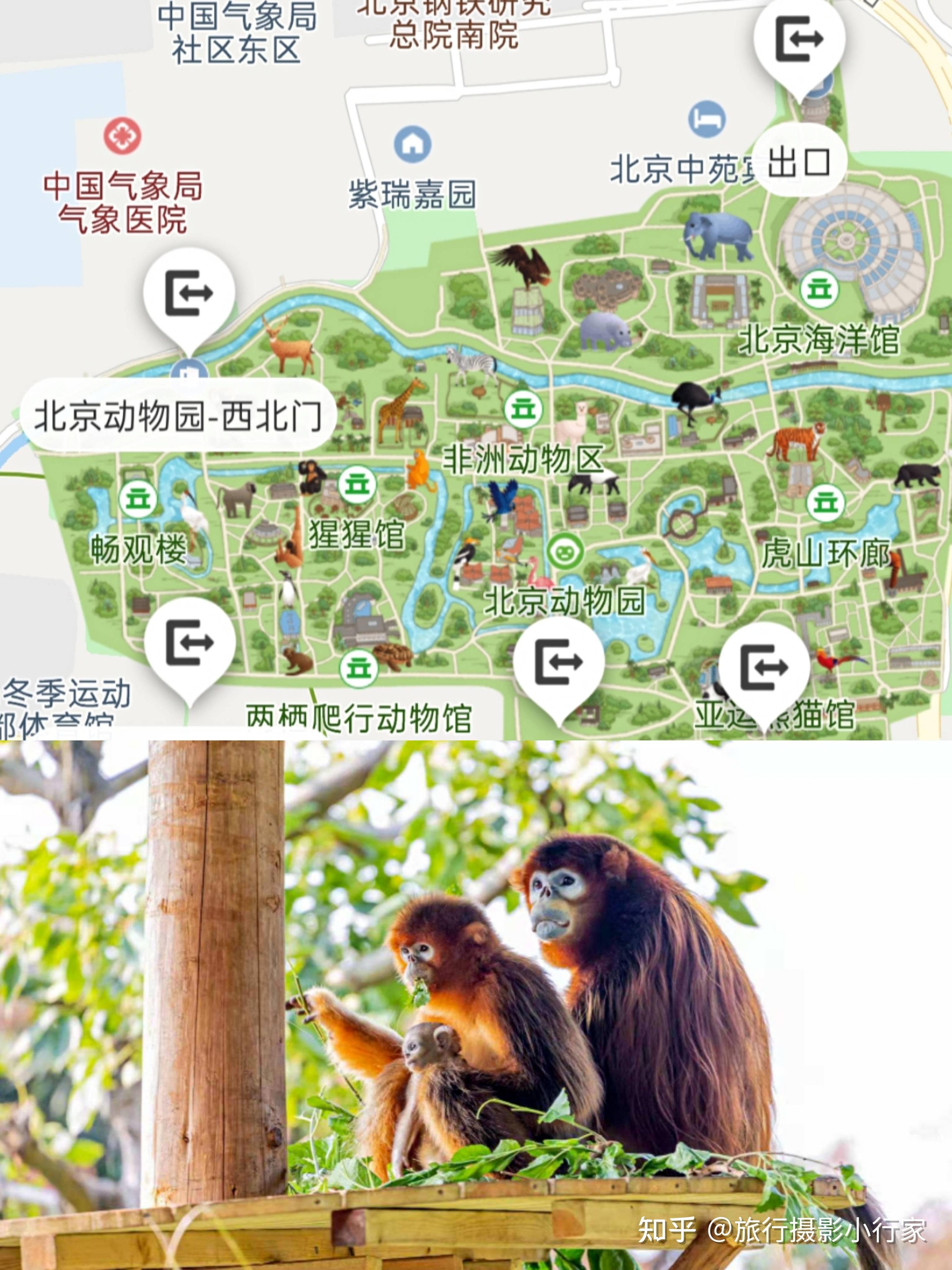 北京动物园行李寄存指南,北京动物园游玩攻略,园区地图