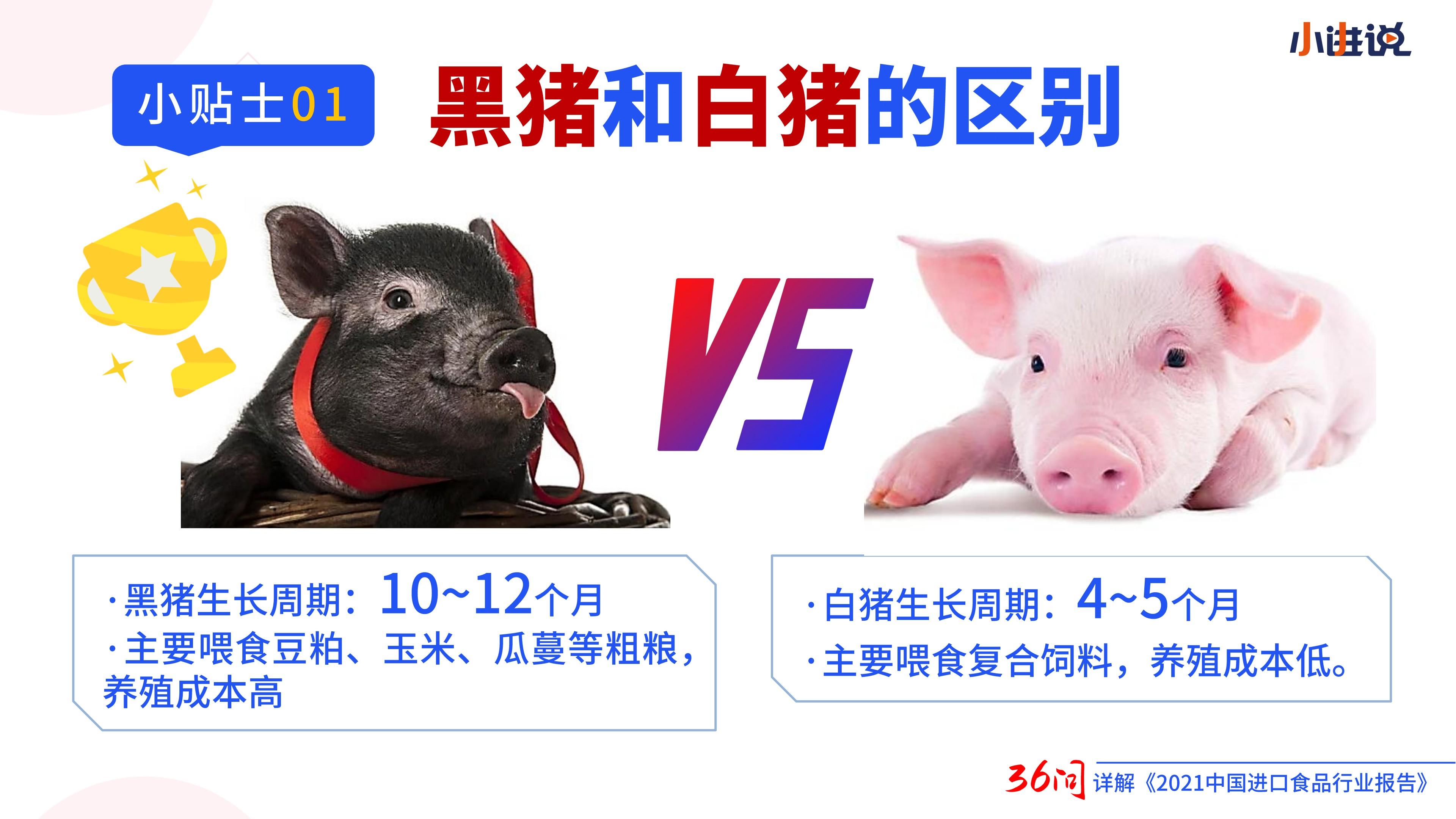进口猪肉数据解读。我国每年吃掉多少猪肉?影响进口量的主要因素是什么?从哪国进口最多?黑猪和白猪的区别是什么? - 知乎