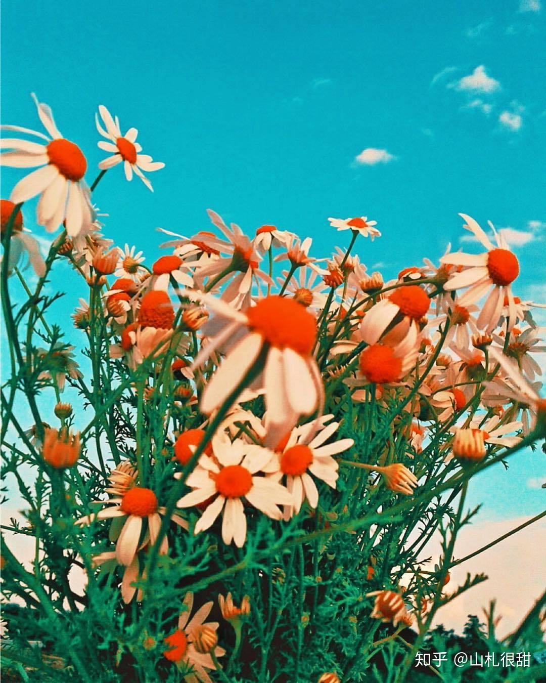 考研还剩下100天,我要怎么开始我的英语啊啊啊