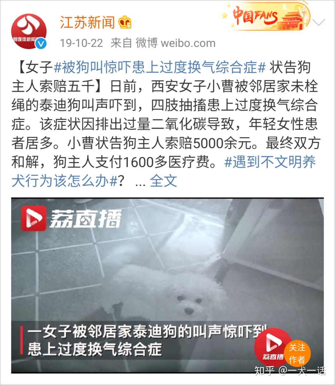 转发这篇!让怕狗人知道遇到陌生狗该怎么办 - 知乎