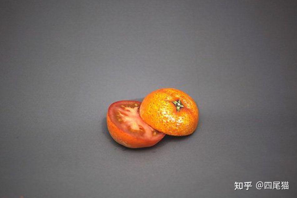 有没有什么套路别人的看图猜物的图片