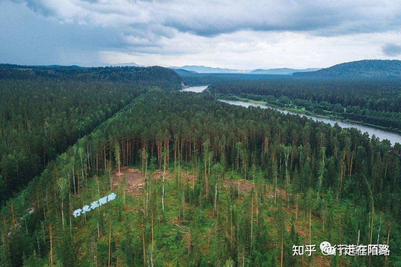 就达到了百亿美元,2021年后的数据虽然不再披露,但受俄乌冲突影响