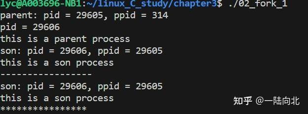 Linux 系统编程笔记2——进程 - 知乎