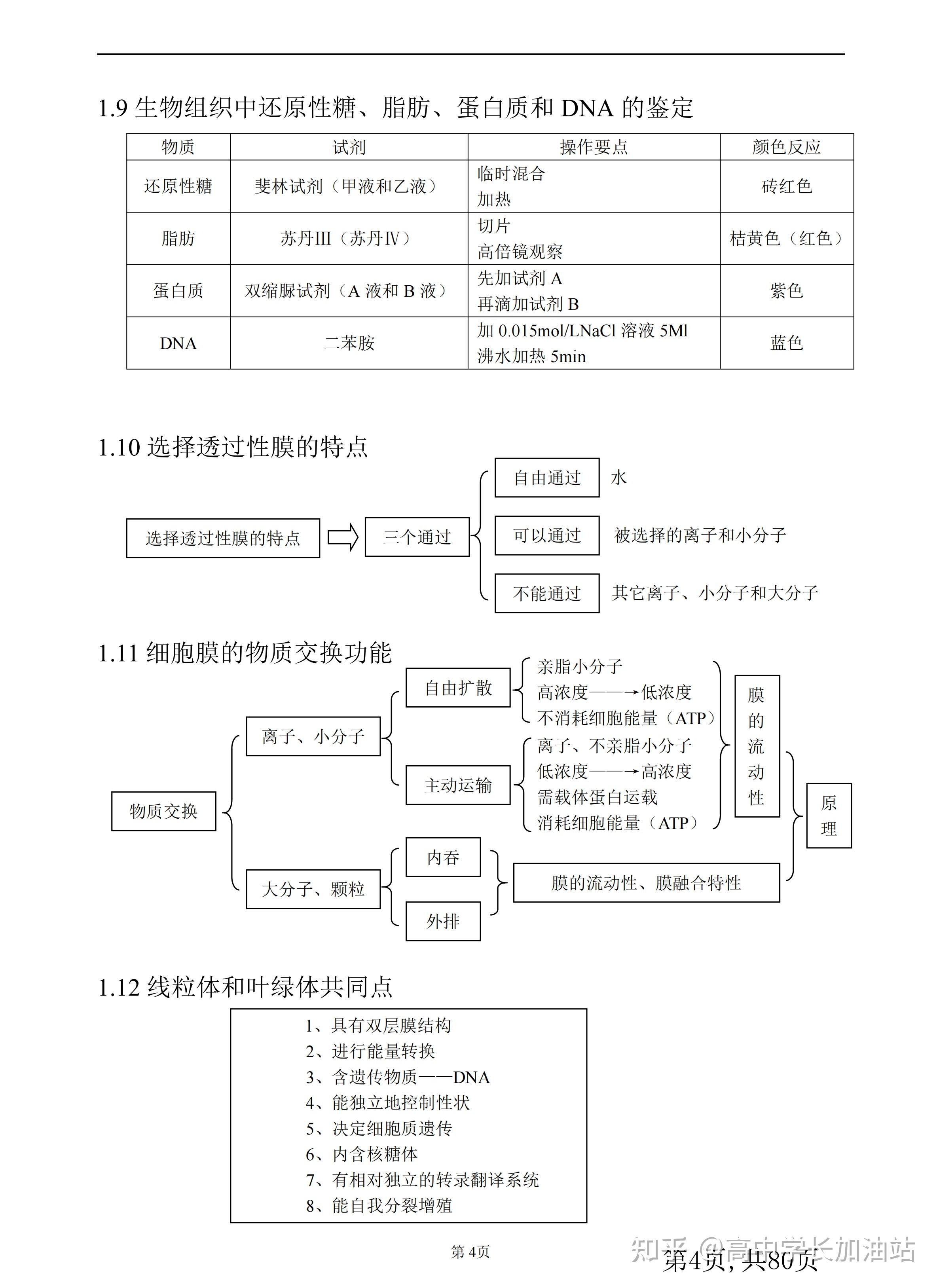 高中生物知识框图图片