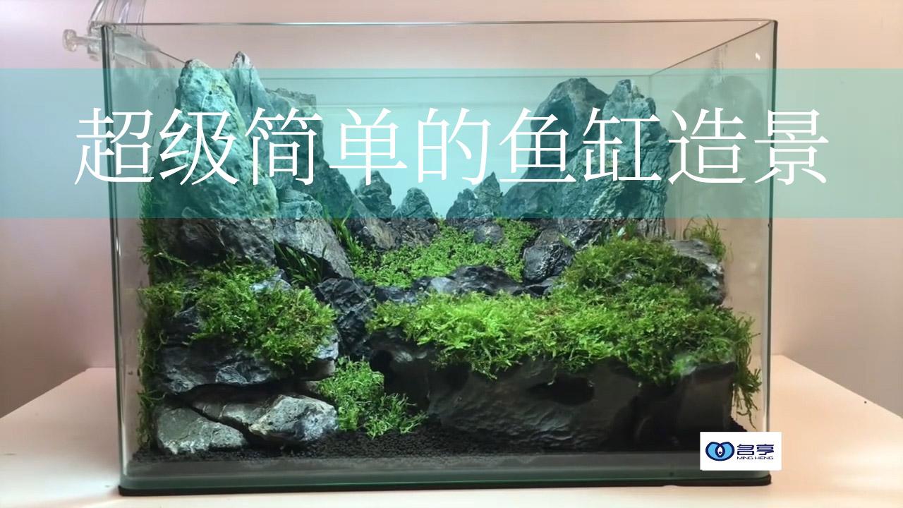 超級簡單的魚缸造景教程魚缸造景也可以這麼輕鬆