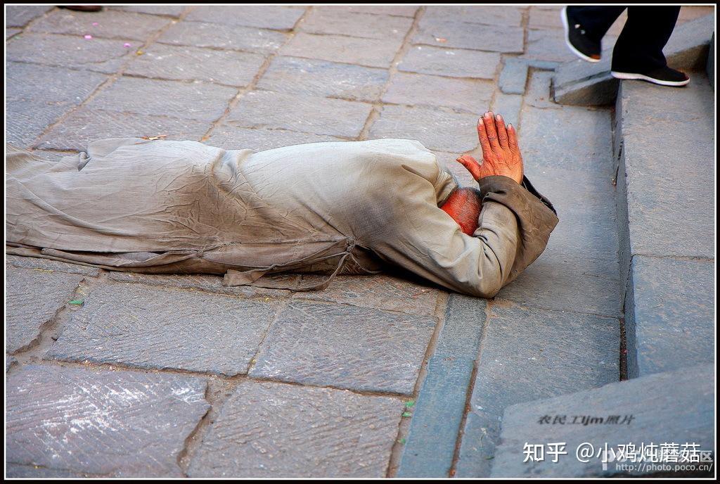 自由的诗境10名字