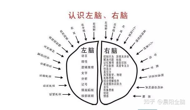 神奇的右脑等着你去深入挖掘开发