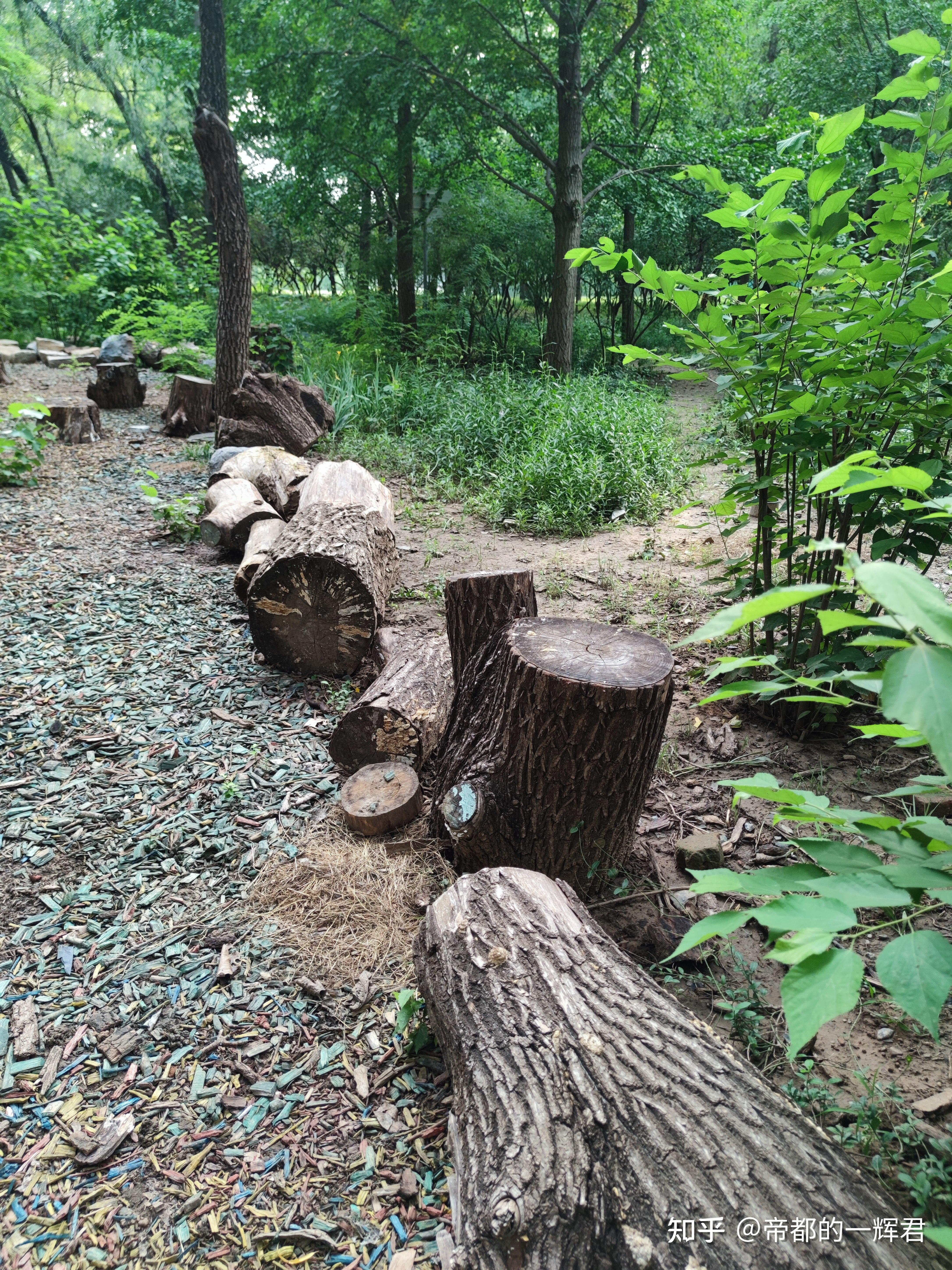  本┥肪匙纯龀中蚝 ,如何做到的?