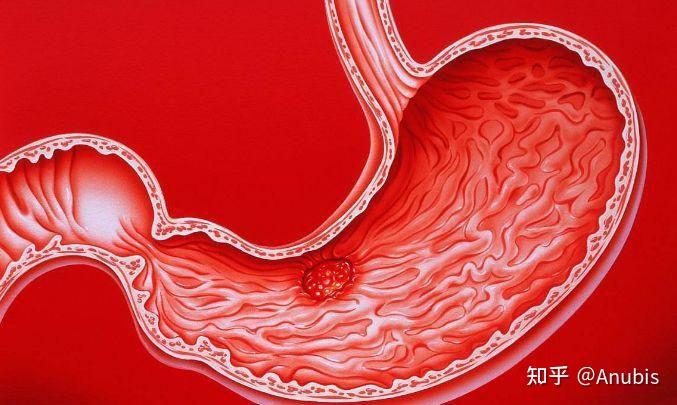 早上不吃饭对身体有坏处吗