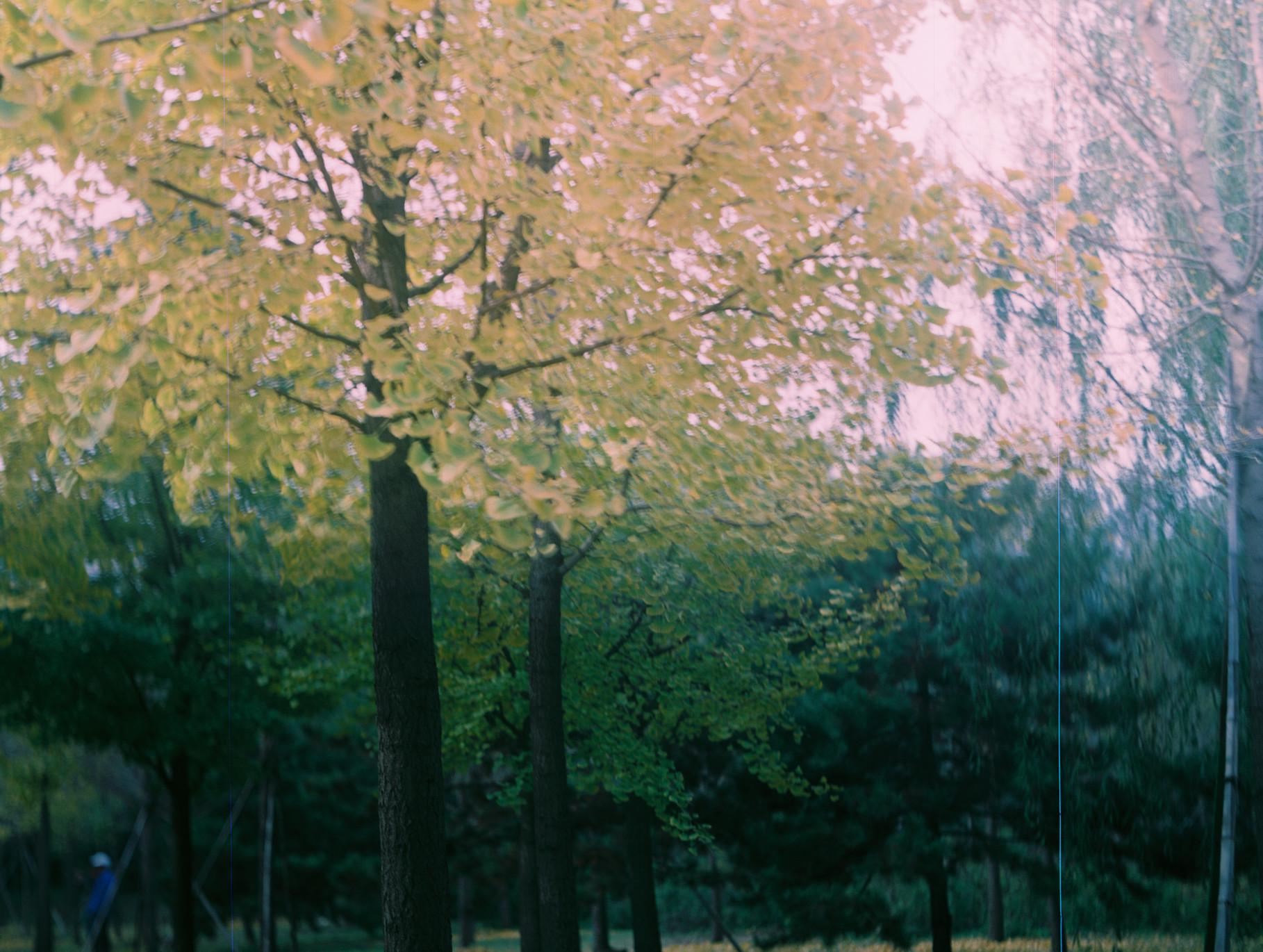 长城胶卷单反相机拍出来一半比较暗一半比较亮