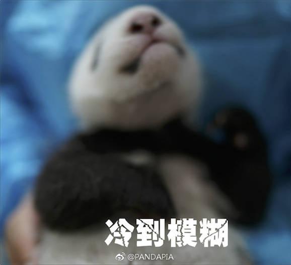 你见过最烂的视频网站客户端是哪个?