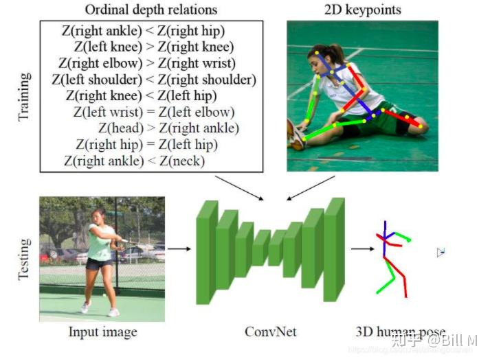 Reconstructing 3D Human Pose by Watching Humans in the Mirror.(CVPR ...