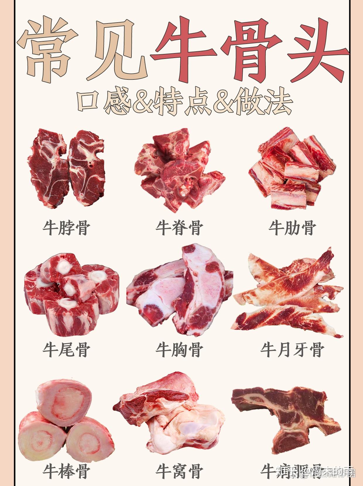 9种常见牛骨头你都吃过吗？ - 知乎