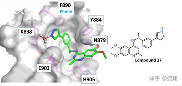 [PNAS]发现有效的SOS1抑制剂，通过破坏RAS-SOS1相互作用阻断RAS活化 - 知乎