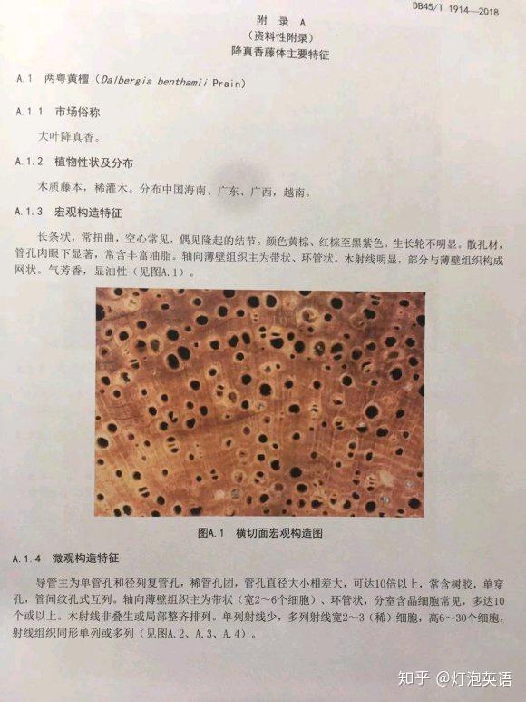 高货私藏 斜叶檀 双偶网