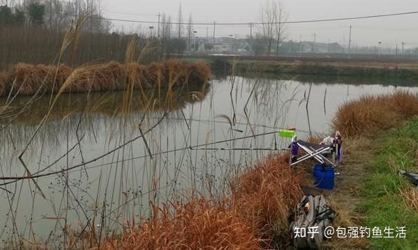 這裡的水域也就成了魚兒的天然魚窩,因此選擇這種地方作為釣點再好