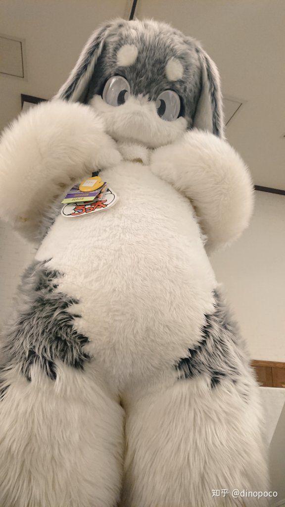 求一些可爱的兔子兽装图片? - 知乎