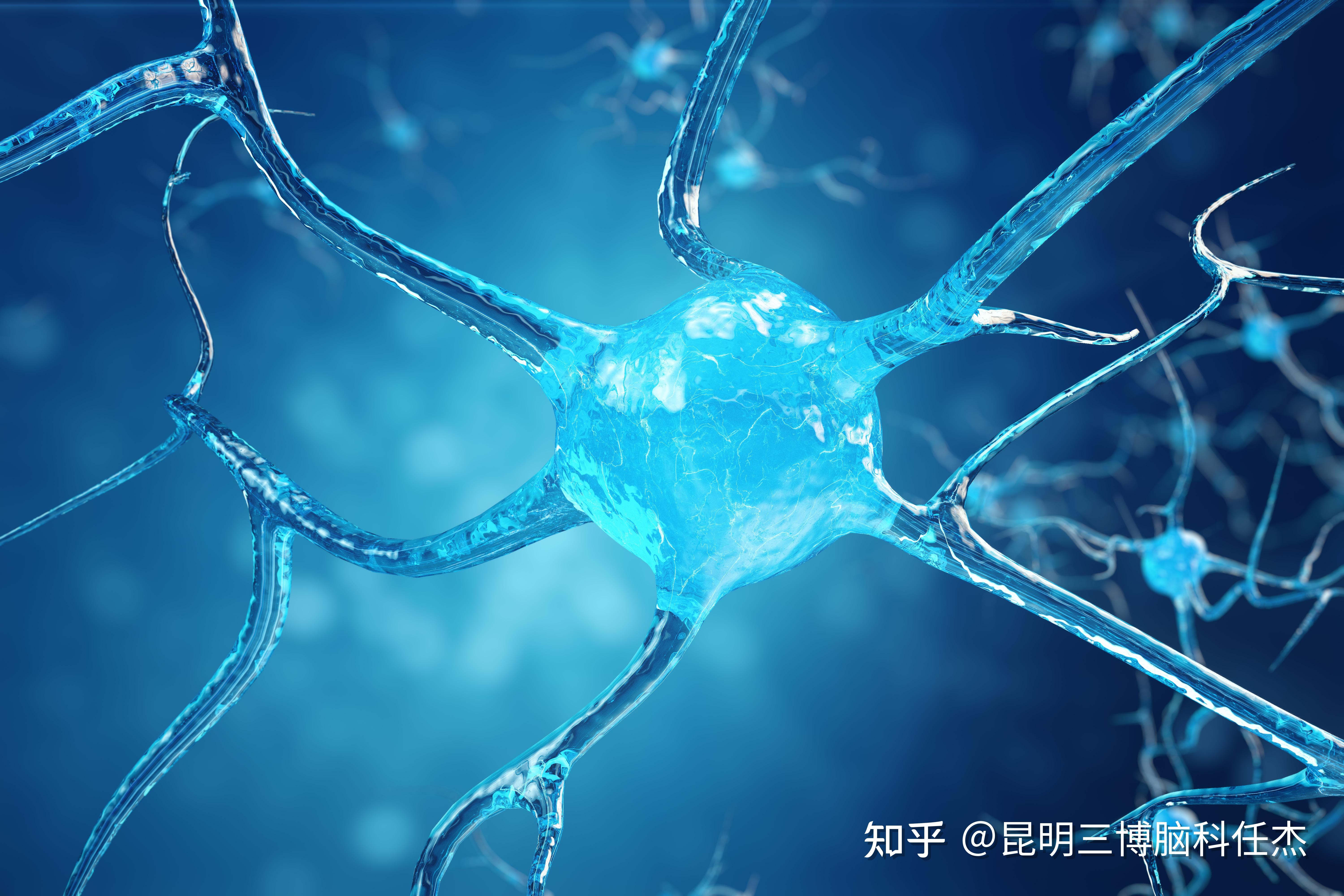 三叉神经痛是怎么回事?如何根治? - 知乎