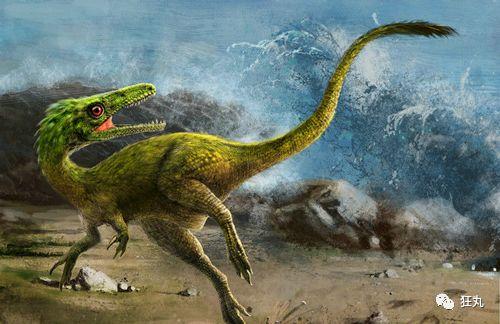 在琥珀中找到恐龙真身中国科学家堪称龙帝