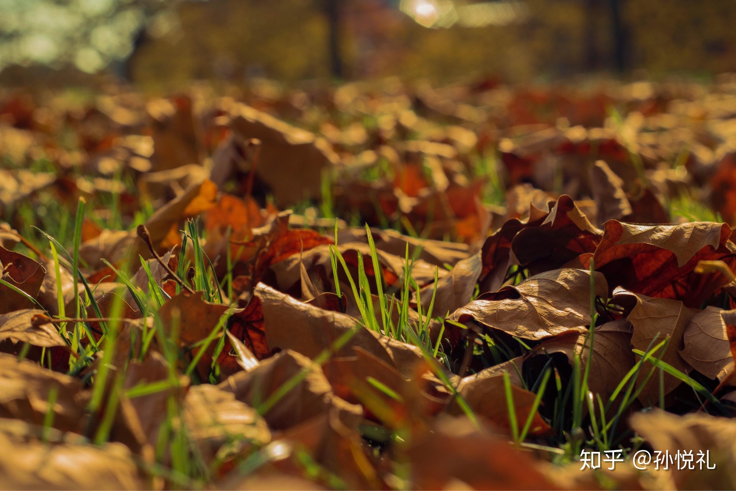 在你的摄影生涯里用50mm定焦镜头拍出过哪些满意的作品